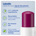 Labello BlackBerry Shine Lip Balm 4,8 g. 