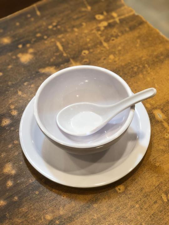 Melamine 18 Piece Soup bowl, Saucer and Spoons set