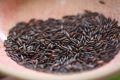 Statice Seeds Mix Color Flower Finest Seeds. 