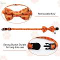 Halloween Cat Collar with Bow Tie and Bell Cats Charm Funny Comfortable for Boys and Girls Kittens. 