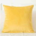 Velvet Cushion Cover Pillowcase Solid Color Pillow Case Decor Sofa Throw Pillows Room Pillow Cover Decorative Wholesale 60x60. 