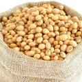 SOYA BEAN 1 KILO GRAM. 