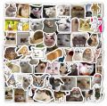 Funny Cat Meme Stickers Pack, Digital Funny Cat Memes, Viral Funny Cats, Laptop Stickers, Mobile Stickers, Decals. Phone Stickers. 