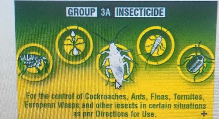 Permethrin%20Dust%20For%20Mango%20Bags%20eggs%20and%20Larva%20Trees%20and%20Plants%20-%20Image%202