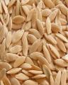 Pumpkin Seed (Kaddu Namkeen Beej Lamba) - 500 Gm. 