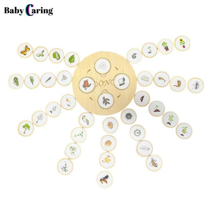 Life Cycle Toy Interesting Life Cycle Jigsaw Puzzles Plant Growth Matching Game