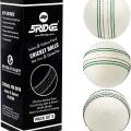 5RIDGE 10 PCS White Cricket Practice Balls - Safe & Soft Rubber Balls for Indoor and Outdoor Training Sessions | Ideal for Cricket Practice. 