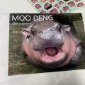 Creative Moo Deng Moo Deng Calendar Paper Daily Weekly Monthly Planner 2025 Calendar Hanging Wall Calendar for Home Office. 