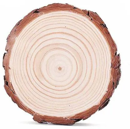 Wooden%20Log%20Disc%20for%20DIY%20Crafts%20Diameter%201%20Pc%207%20to%208%20inches%20-%20Image%202