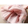 Disney Princess Dress Girl Performance Dresses Frozen Cotton Mesh Dress Elsa Anna Tutu Dress Children's Clothing Girl. 