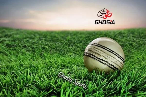 Premium%20Quality%20Hand-stitched%20Cricket%20Hard%20Ball%20For%20Practice%20White%20Color%20(%20Set%20of%203%20)%20-3160%20-%20Image%206