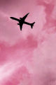 Pink Aesthetic Wall Collage Kit 21 Photo Cards 4x6 Inches for Room Decor Customizable. 