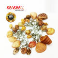 Sea Shell keyring, Boho Surfer Seashell Alloy Craft Keychain Bag Charm. 