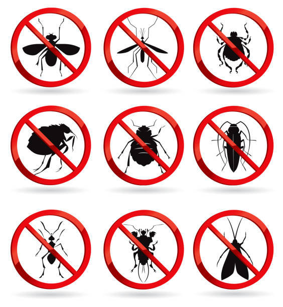 Pack%20of%2012%20Black%20Magic%20Triple%20Action%20Flying%20&%20Crawling%20Insect%20Killer%20325%20ml%20Mosquito%20Repellent%20Spray%20-%20Image%208
