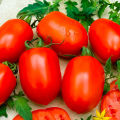 Qty 40+ Tomato Seeds 4 Varieties Vegetable Kitchen Gardening. 
