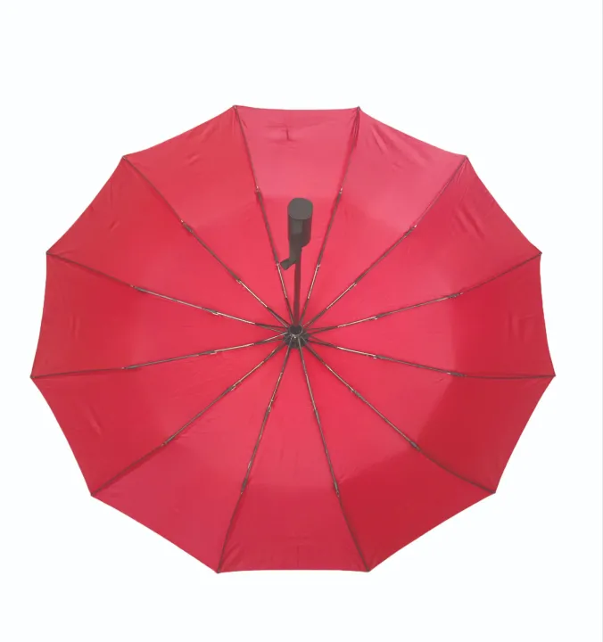 12%20Ribs%20Large%20Travel%20Automatic%20Umbrella%20Windproof%20for%20Rain%20&%20Sun,%20Strong%20Compact%20Umbrella%20for%20Men%20&%20Women,%20Wind%20Resistant,%20Lightweight,Portable%20Folding%20Umbrellas%20for%20Backpack,%20Car%20-%20Image%204