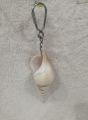 Beautiful Unique Seashells Key Chain Best For Personal Grooming One Piece. 