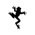 Lizard Pvc Sticker for Car, Laptop, Bike or etc (4inch by 5inch. 