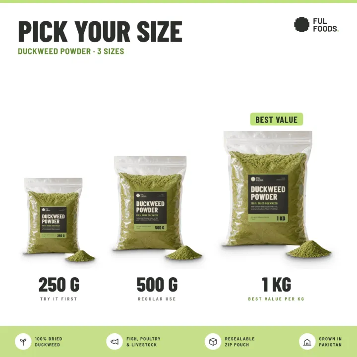 Duckweed%20Powder%20%E2%80%93%20100%25%20Dried%20Duckweed%20%7C%20~31%25%20Protein%20%7C%20250g%20/%20500g%20/%201kg%20%7C%20Feed%20Ingredient%20for%20Fish,%20Poultry%20&%20Livestock%20%7C%20FUL%20Foods%20-%20Image%202
