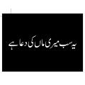 Ye Sub Mere Maa Kee D*a Hae - Vinyl Sticker White 12" inches wide. 