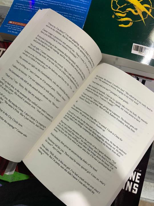 Hunger%20Games%20(%204%20Books%20Set%20)%20by%20Suzanne%20Collins%20-%20Image%206