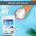 Epsom Salt For Plants 500 Grams Pack - Natural Mineral Fertilizer - Epsom Salt Bath (PAKISTAN MADE). 
