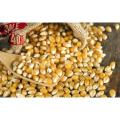 Popcorn 100 Grams  High Quality Popcorn 100 Grams. 