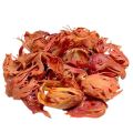 Jawitri | Javitri | Jalwatri | Mace - 100 Grams. 