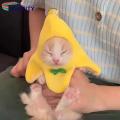 Banana Shaped Cat Hat Adorable Banana Shape Pet Hat with Bow for Stylish Cats Eye-catching Kitty Headwear Costume Accessory Buy on Cat Hat. 