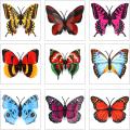 Creative Simulation LED Butterfly Night Light Paste Flash Butterfly Wall Decal Bar Restaurant Bedroom Supplies 3D New(pack of 3). 