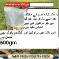 Premium Chicken Feed & Dana – 500gm | High Protein Mix, Egg Booster & Growth Starter – All Stages Feed (Chicks, Hens & Ducks). 