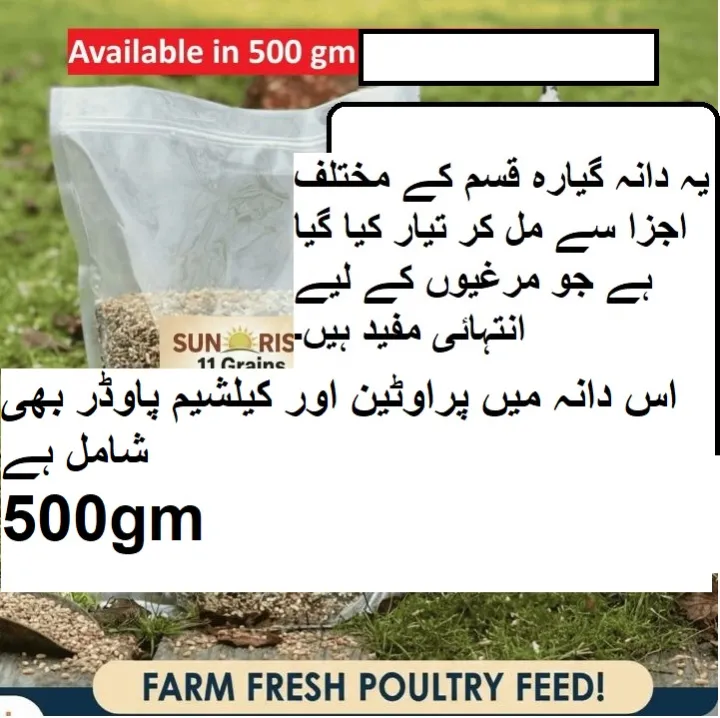Premium%20Chicken%20Feed%20&%20Dana%20%E2%80%93%20500gm%20%7C%20High%20Protein%20Mix,%20Egg%20Booster%20&%20Growth%20Starter%20%E2%80%93%20All%20Stages%20Feed%20(Chicks,%20Hens%20&%20Ducks)%20-%20Image%208