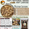 Black Soldier Flies Dried Larvae (1 Kg)  "Bsfl". 