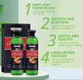Fruit Vinegar Black Hair Color  Gel  Dye 250x2  500ml ... 