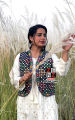 Pakistani Sindhi Traditional & Cultural Party Wear Waistcoat Koti for Females Ladies Women Womens Embroided Multicolour Waist Coat Embroidered ZENZ Gilet. 
