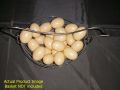 (8 Piece) Artificial Plastic Eggs for Broody Hen - Brown Egg (Light Weight Hollow Egg Shell). 