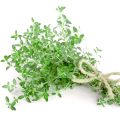 Thyme Herb Seeds Thymus Vulgaris Home Kitchen Gardening Seeds. 
