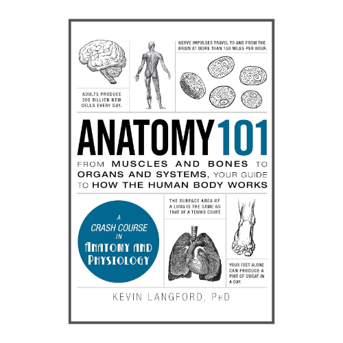 Anatomy 101: by Kevin Langford (Author)