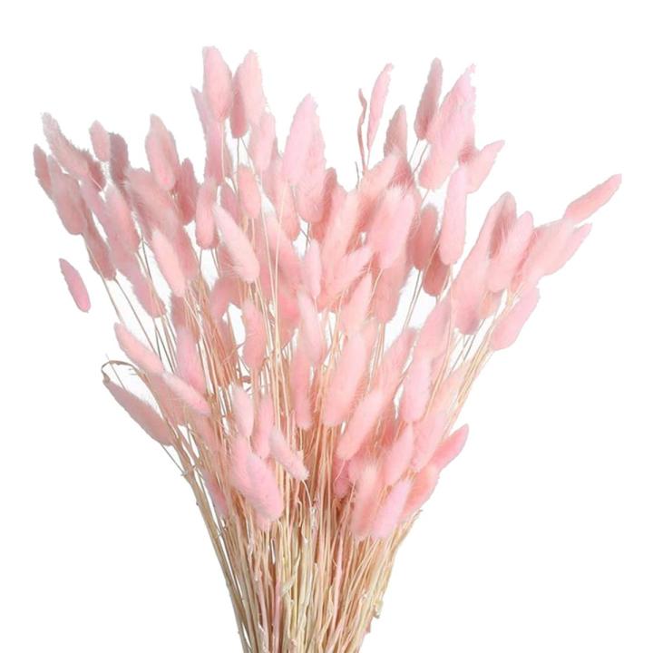 60 120pcs Dried Bunny Tails Flowers Multicolor Rabbit Tail Grass Dried Grass Bouquet For Home Wedding Party Table Diy Dry Floral Arrangement Decor 17 - Home & Kitchen - Saudi Arabia