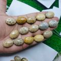 Original Natural italian Coral Fossil Marjan (مرجان فوسل) Gemstone 29.15 crt ± 1crt For Ring Men,Bracelet,Pendant. 