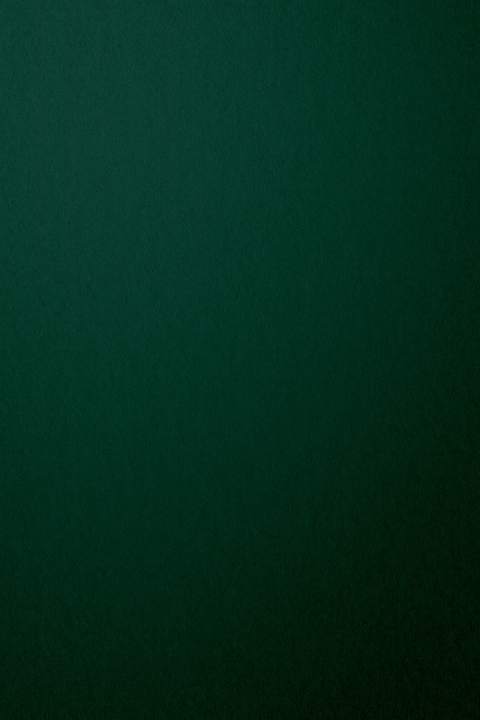 Oppo%20A52%20Complete%20Housing%20Body%20In%20Black%20And%20Green%20-%20Image%202