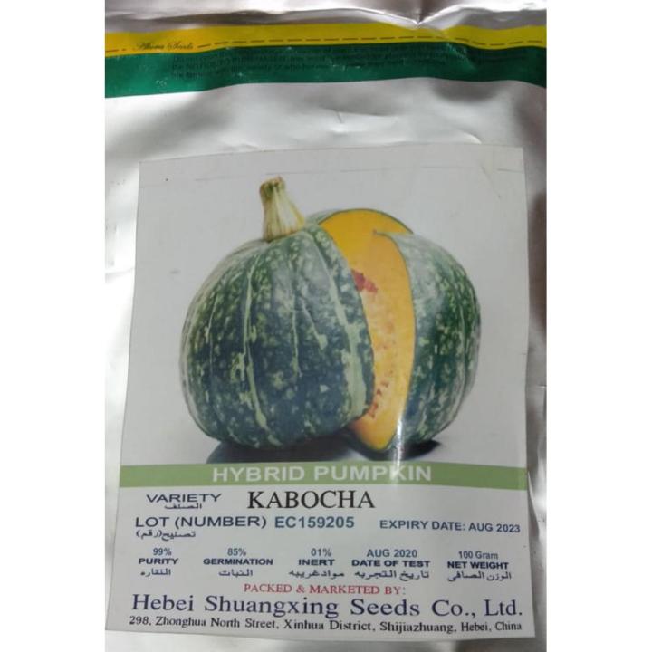 Pack of Pumpkin- Halwa Kadu- Seeds- F 1 Hybrid Seeds