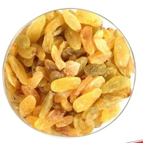 Sundharkhani%20Irani%20Kishmish%20-%20Irani%20Mewa%20-%20500%20Grams%20-%20Image%202