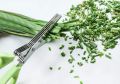 Multi-Functional Stainless Steel Kitchen Knives 5 Layers Scissors for Kitchen use Cut Herb Spices Cooking Tools Vegetable Leaf Scissor and Cutter with Cleaning Brush (Multicolor). 