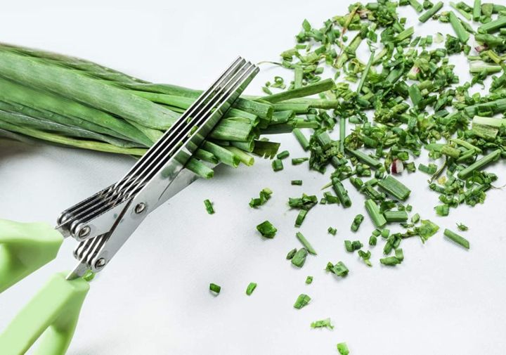 Multi-Functional%20Stainless%20Steel%20Kitchen%20Knives%205%20Layers%20Scissors%20for%20Kitchen%20use%20Cut%20Herb%20Spices%20Cooking%20Tools%20Vegetable%20Leaf%20Scissor%20and%20Cutter%20with%20Cleaning%20Brush%20(Multicolor)%20-%20Image%202