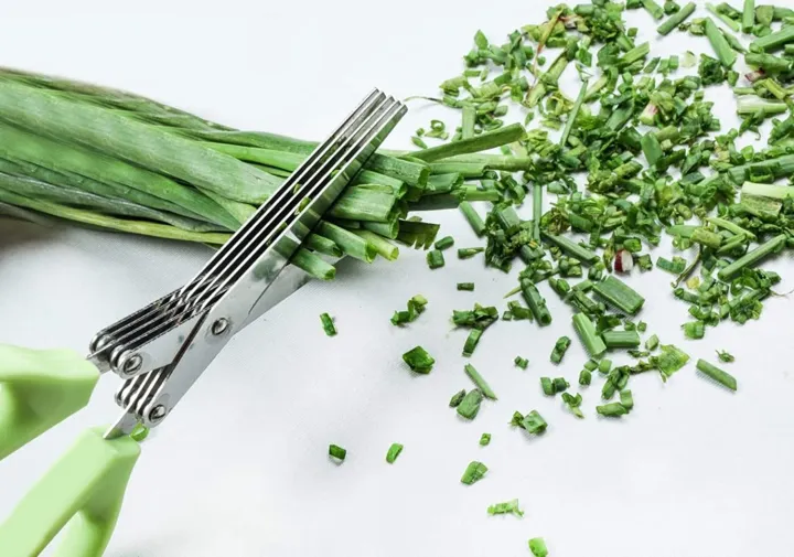Multi-Functional%20Stainless%20Steel%20Kitchen%20Knives%205%20Layers%20Scissors%20for%20Kitchen%20use%20Cut%20Herb%20Spices%20Cooking%20Tools%20Vegetable%20Leaf%20Scissor%20and%20Cutter%20with%20Cleaning%20Brush%20(Multicolor)%20-%20Image%202