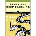 Practical Deep Learning by Ronald T. Kneusel (Author). 