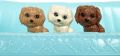 BARBIE FAMILY with Dog and Three Puppies. 