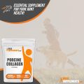 BULKSUPPLEMENTS.COM Porcine Collagen Powder - Hydrolyzed Collagen Powder, Collagen Supplement, Collagen Peptides Powder - Collagen Protein Powder, Gluten Free, 2500mg per Serving, 100g (3.5 oz). 