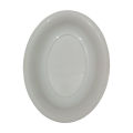 Plastic Serving Dish 17 x 13 Inches. 